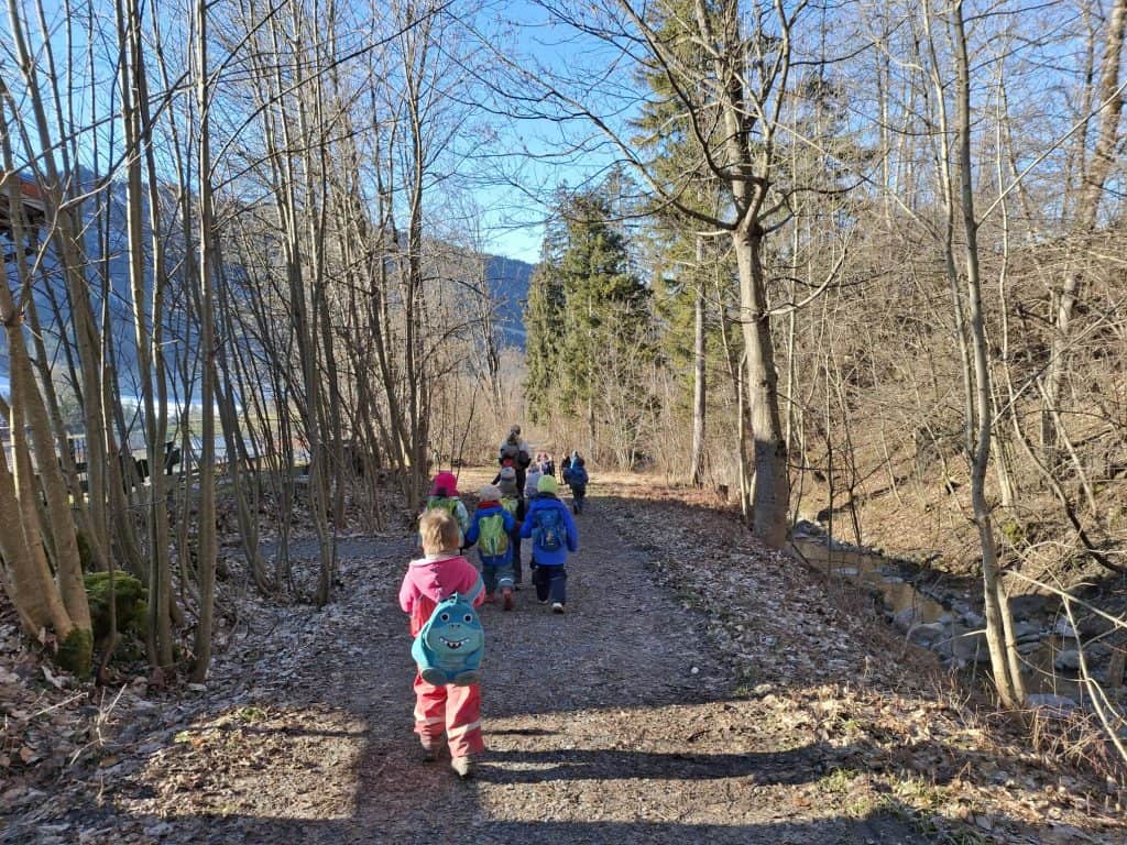 Kinder wandern auf einem Waldweg