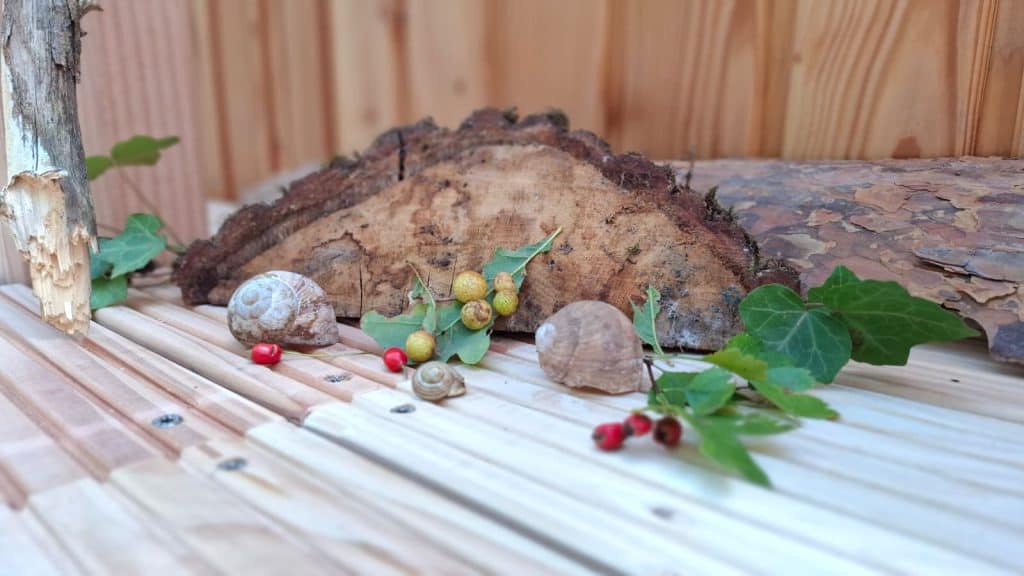 Verschiedene Naturmaterialien wie verlassene Schneckenhäuser und Äste liegen auf der Terrasse vor dem Bauwagen.